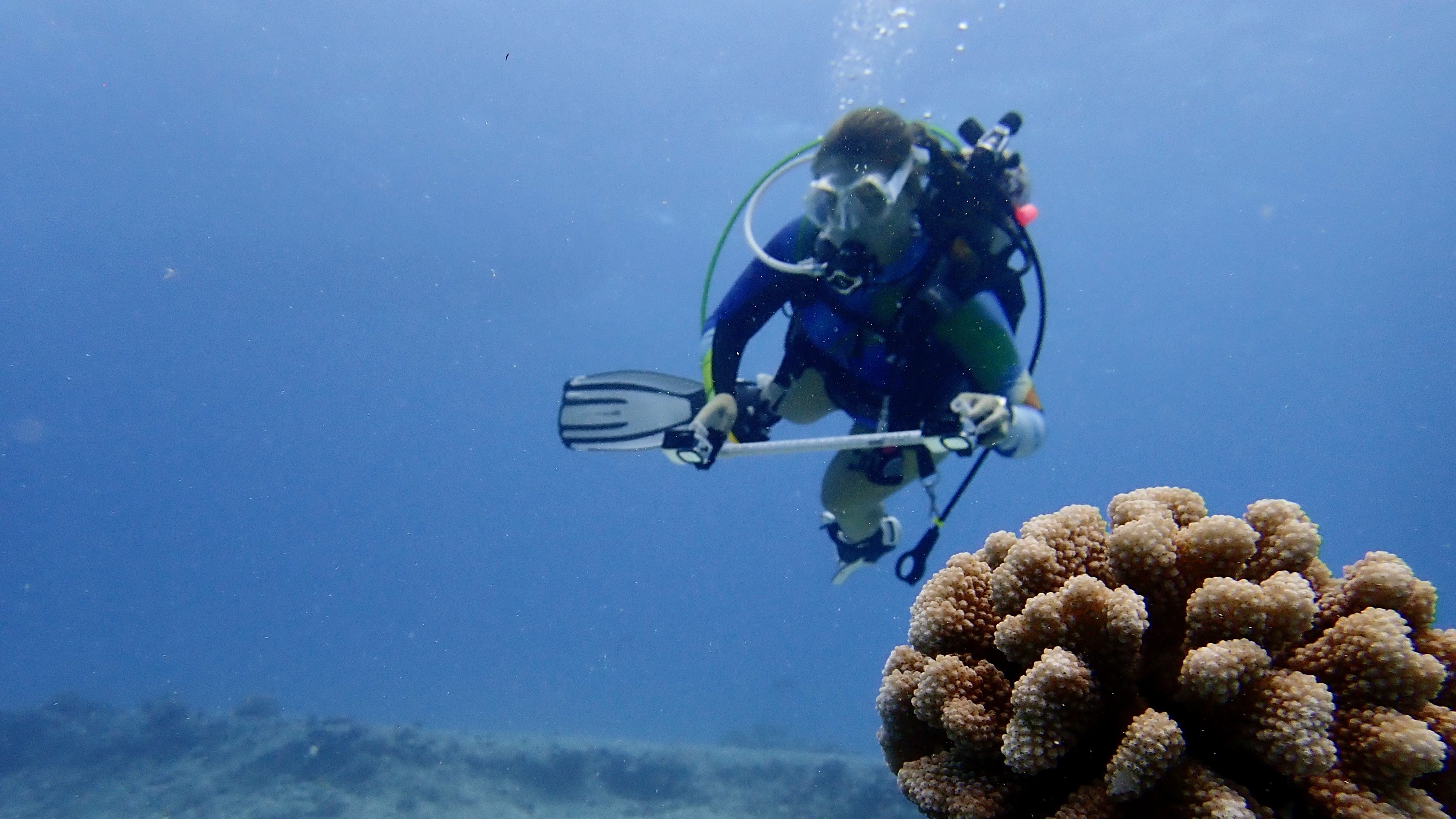 Photogrammetry diving